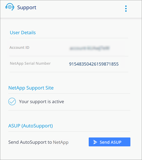 A screenshot of the Support widget that shows a registered user.